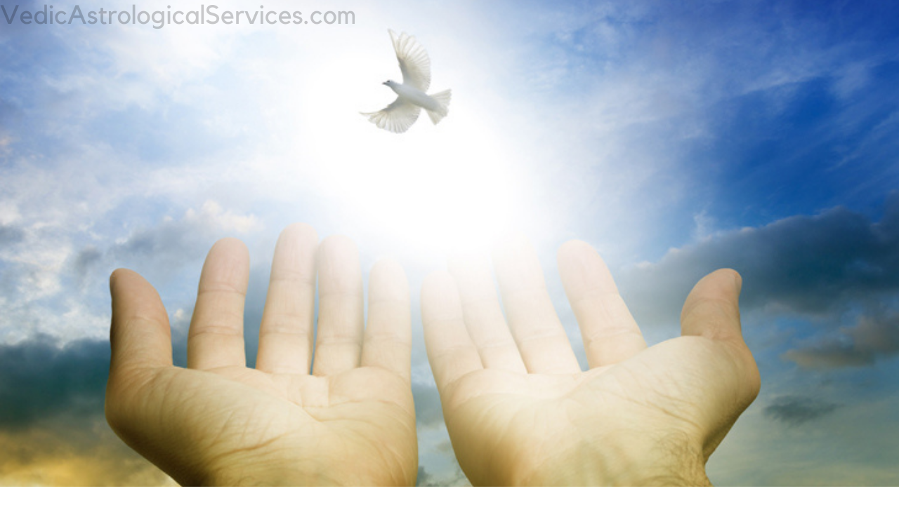 Spiritual Consultation in Florida, USA